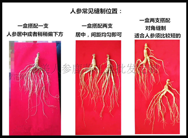 澳门·威斯尼斯wns888入口